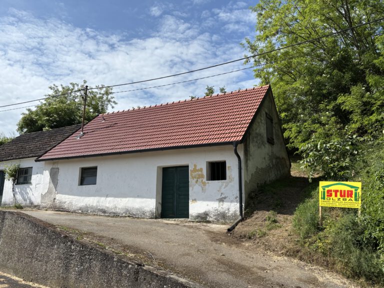 Presshausdach – aus ALT mach NEU