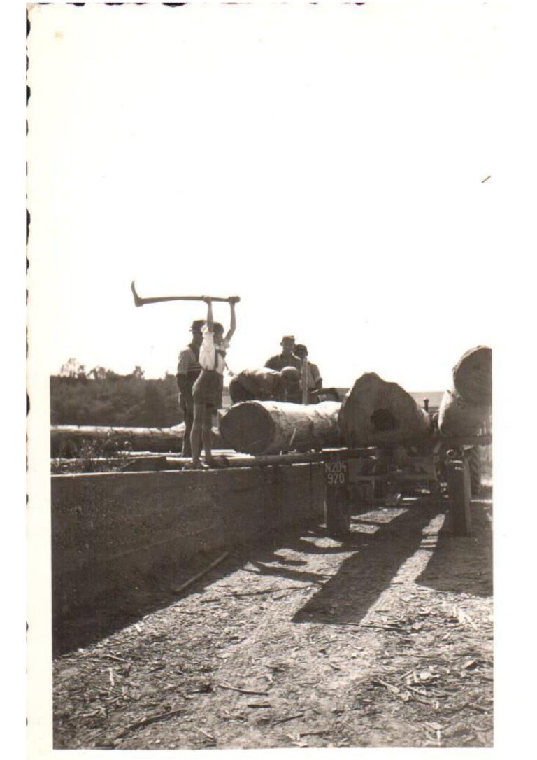 Sägewerk 2