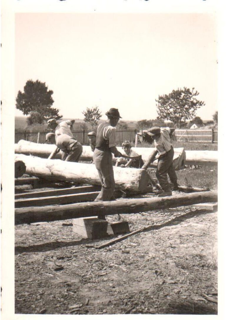 Sägewerk 3