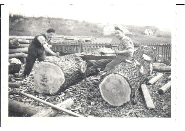 Sägewerk 5