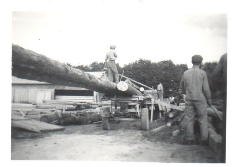 Sägewerk 6